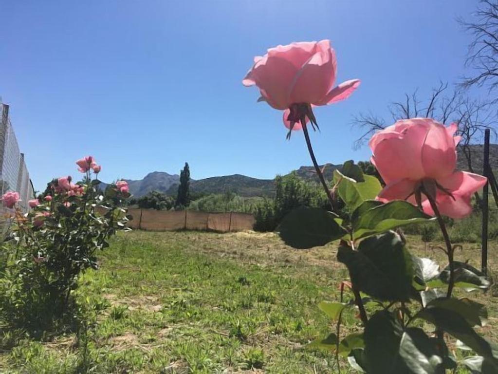 Casa Rural La Maestra Ronda Esterno foto